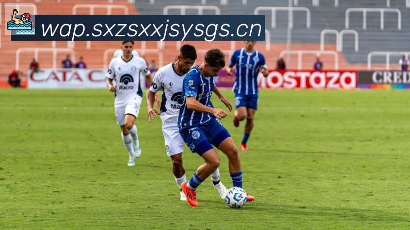 App Interface Preview