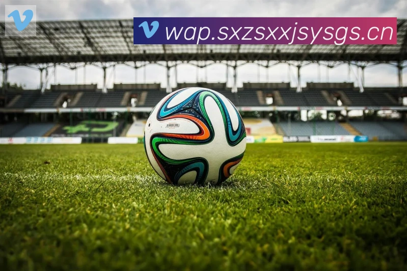 开云kaiyun入口荣誉