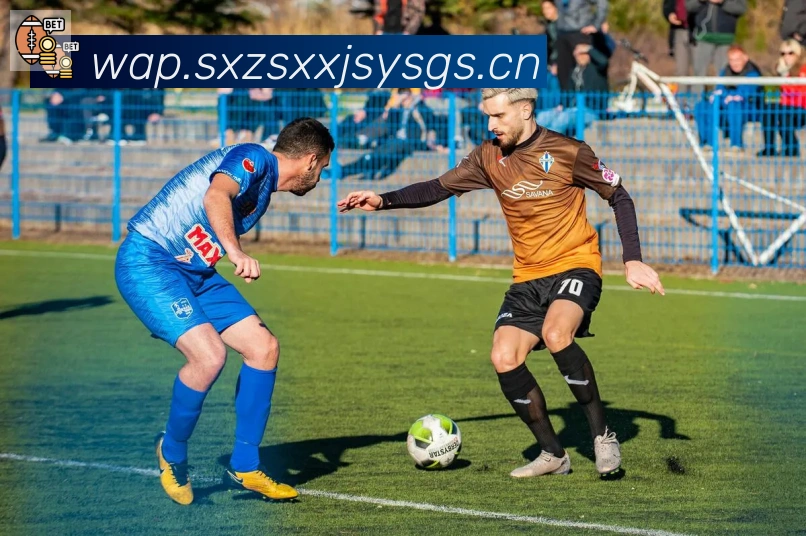 开云kaiyun入口荣誉